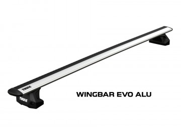 Wingbar evo alu  fix 5